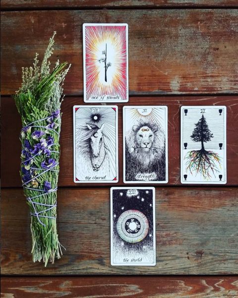 THE MONTLY ORACLE- TAROT READING FOR THE MONTH
