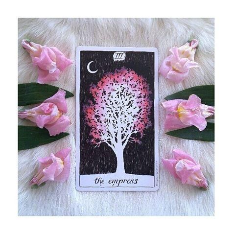 YES OR NO TAROT CARD READING