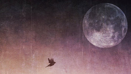 Harness the Power of the Full Moon