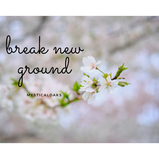 Spring Cleaning ~ Mind, Body & Spirit~